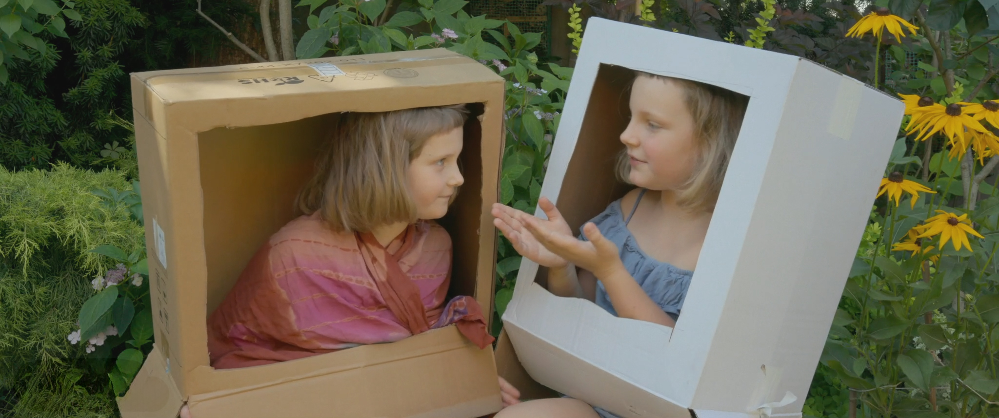 Zostań wolontariuszem na 4. Festiwalu LET’S DOC! Otwieramy nabór!