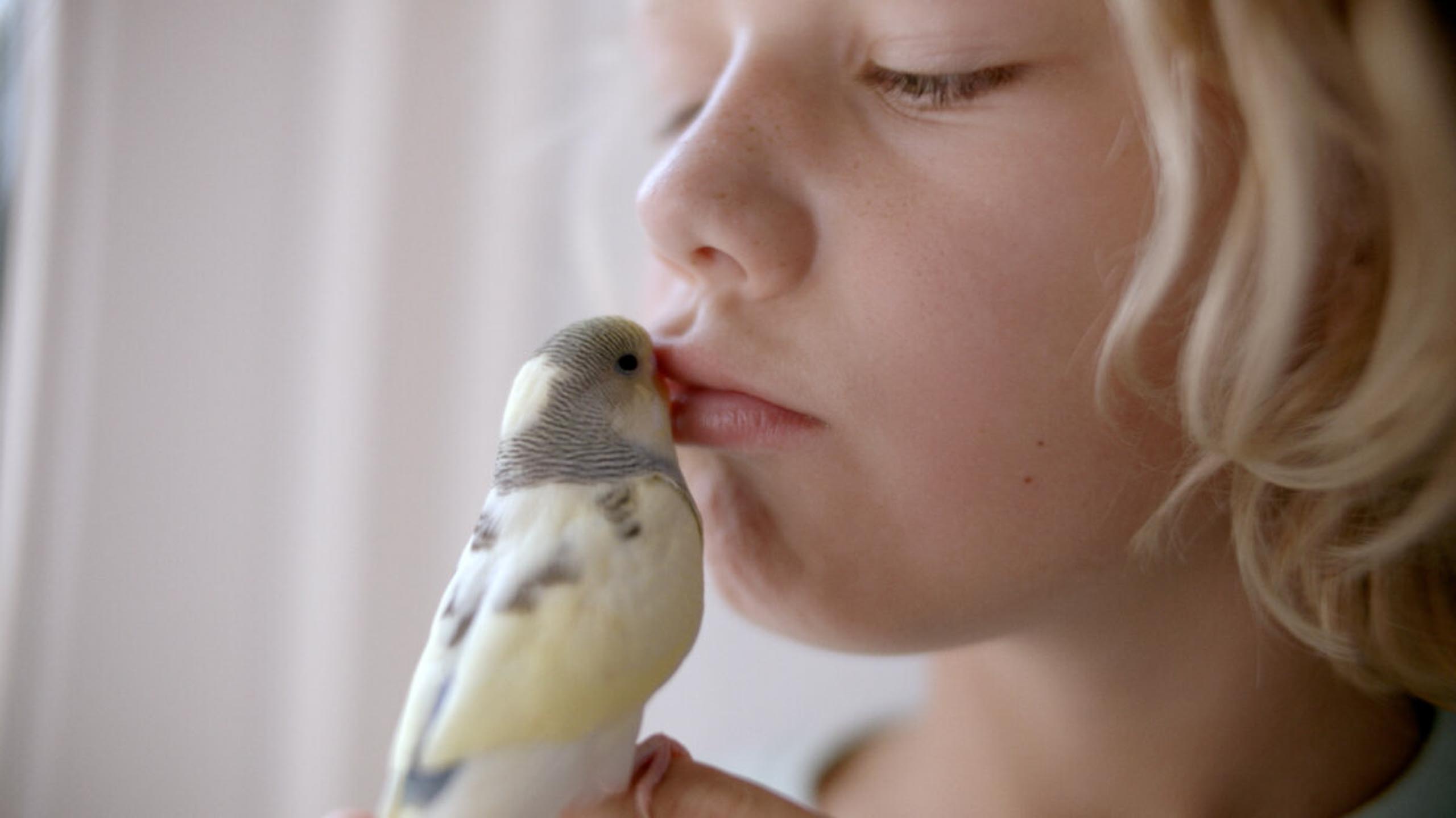 Co czuję, kiedy czuję za dużo | „Zły Enzo” | 14+